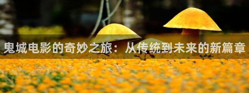 星空影视传媒免费观看
