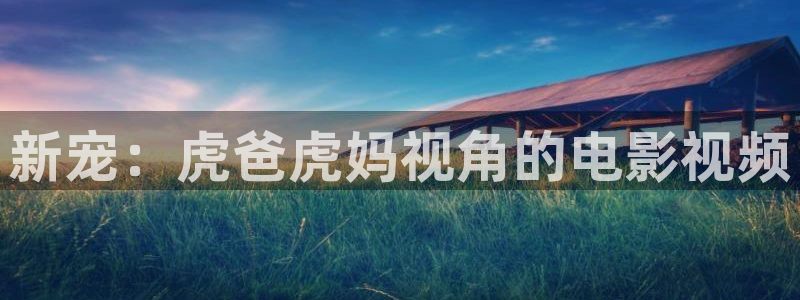 韩国电影星空影院