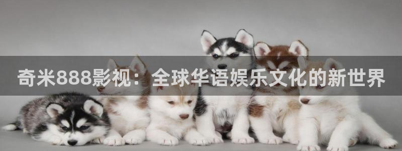 星空影院免费高清电视剧大全