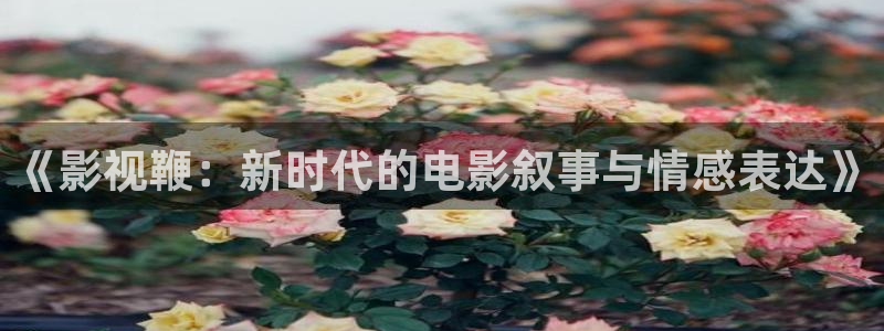 星空影视在线看