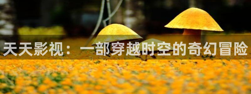 星空影院电视剧在线播放免费观看资源