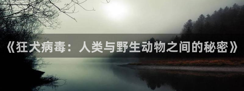 星空影视软件