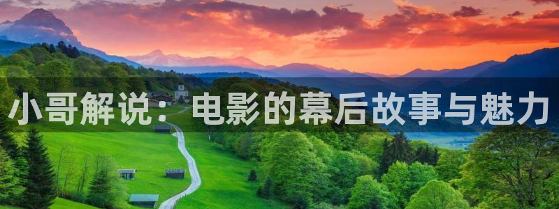 梵高的星空的电影