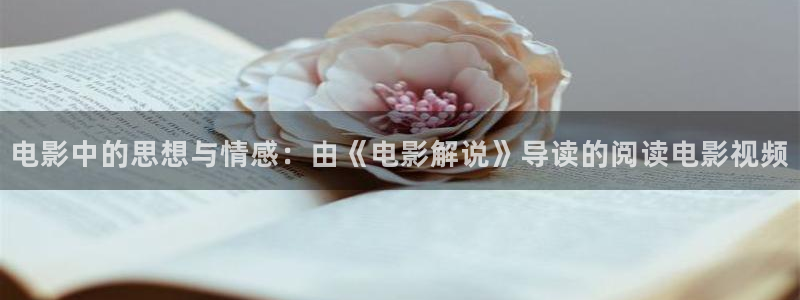 纳雍星空影城