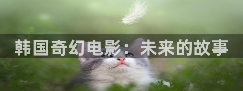 星空在线高清免费完整观看