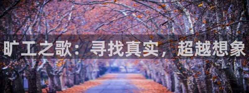 动漫星空