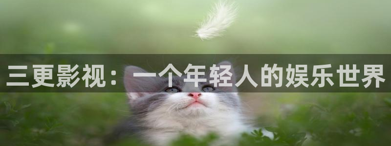 家庭影院 星空顶