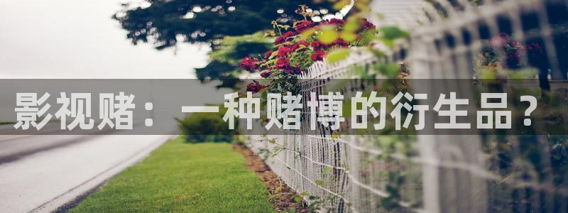 新星空影院