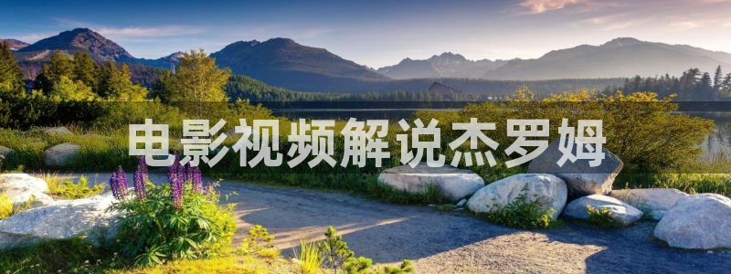 星空影视手机