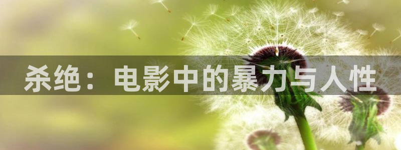 星空在线观看全集免费高清