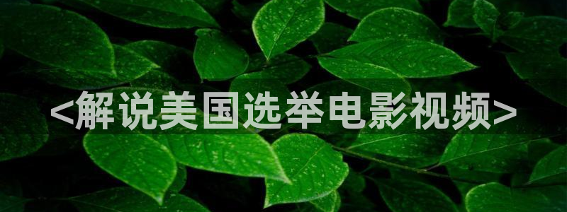 新闻图片