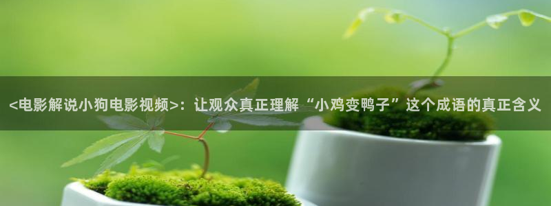 星空传媒高清在线观看