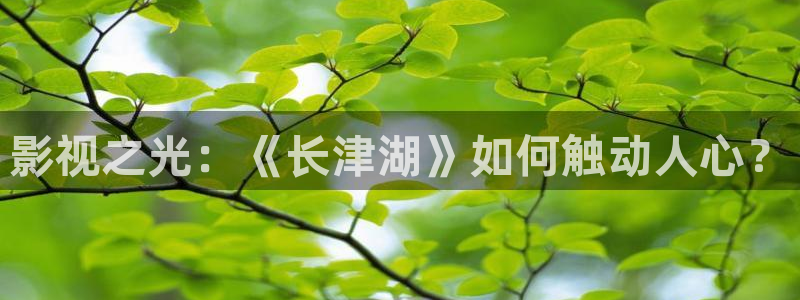 星空影院电视剧在线看入口免费