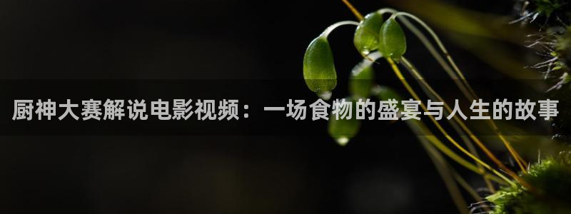 星空传媒观看