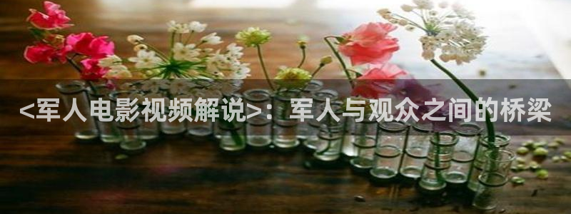星空无痕mv高清在线观看