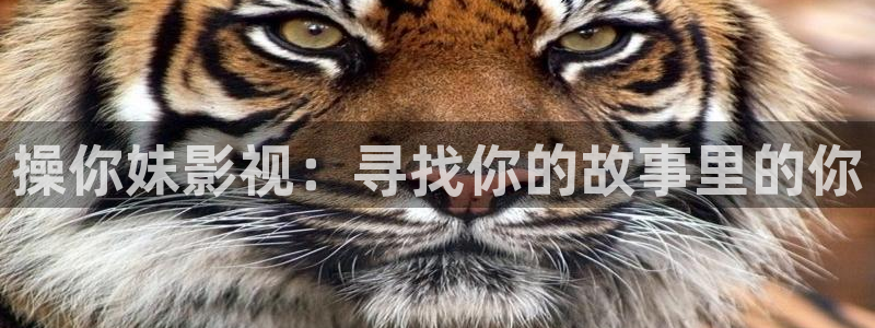 影视厅星空顶图片