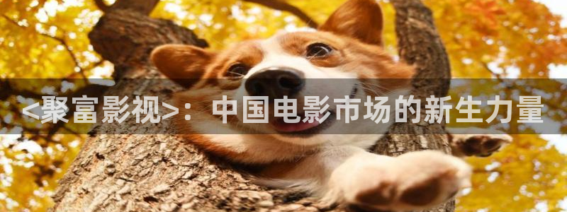 热辣滚烫星空影院