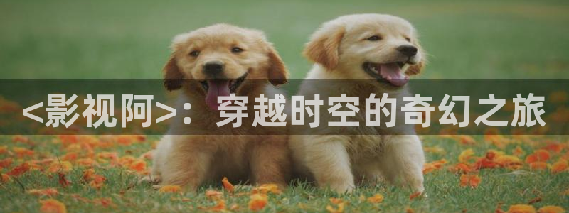 星空影视电视版