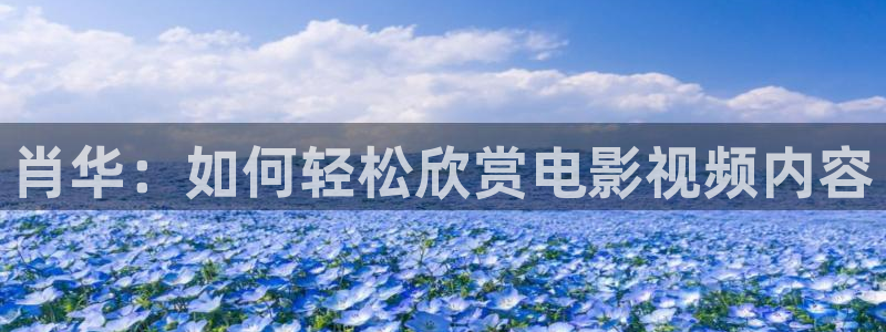 天美星空mv高清完整版