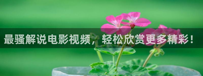 星空简谱