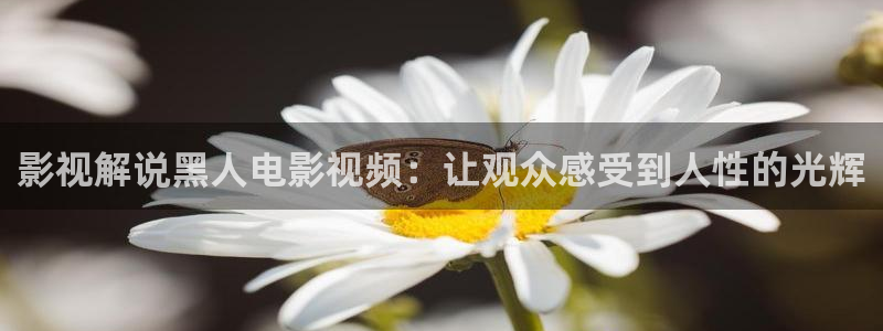 星空影院电影免费观看完整版