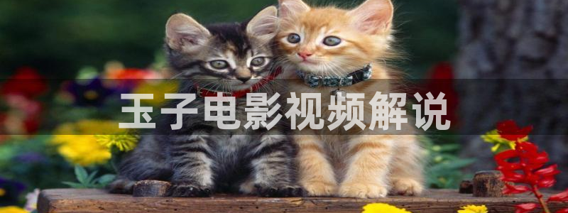 星空影院在线高清观看