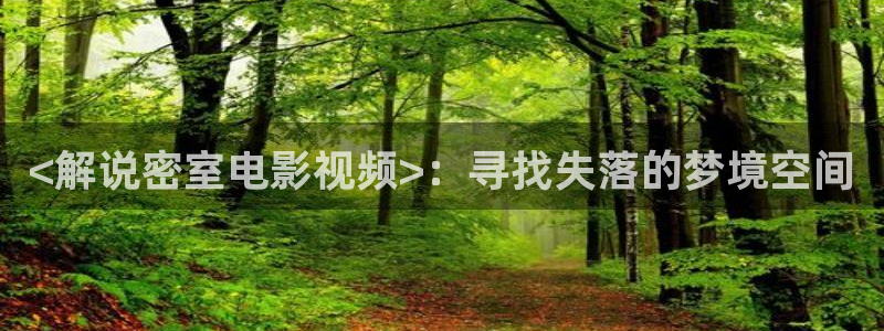 星空在线观看电影