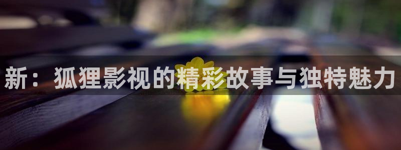 星空影视在线