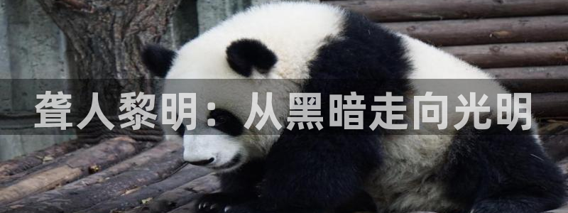 秋霞电影在线观看午夜星空精品视频
