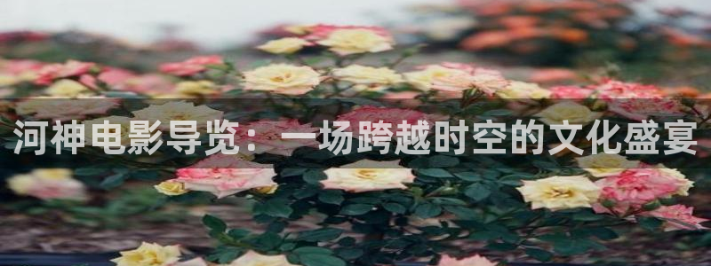 星空视频免费观看电影大全