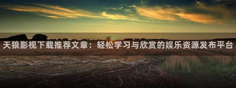 星空看片